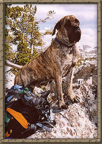 Ben at the Great Divide