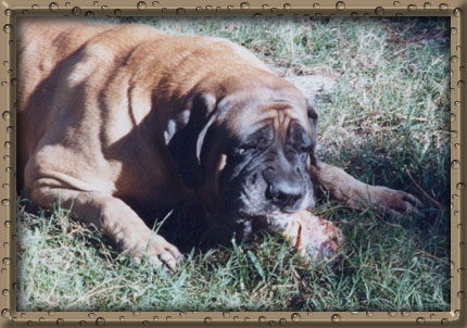 Woodrow