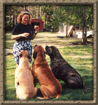Dawn the Dog Charmer
