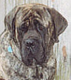 Grandsire