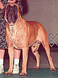 Grandsire