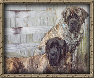 Sturgis and Rufus