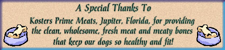 Special Thanks