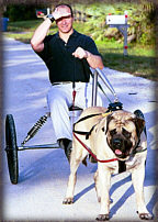 Pat and Yogi