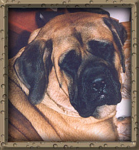 Woobie