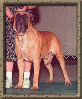 Woodrow